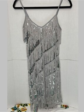 Silver 1920s Flapper Girl Silver Sequin Fringe Mini Slip Dress New Years Party